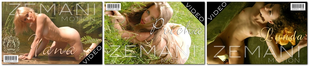 Zemani.Com - Video Content Updates 2008